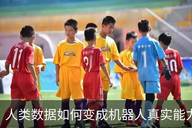人类数据如何变成机器人真实能力？Ropedia重磅发布六项研究成果