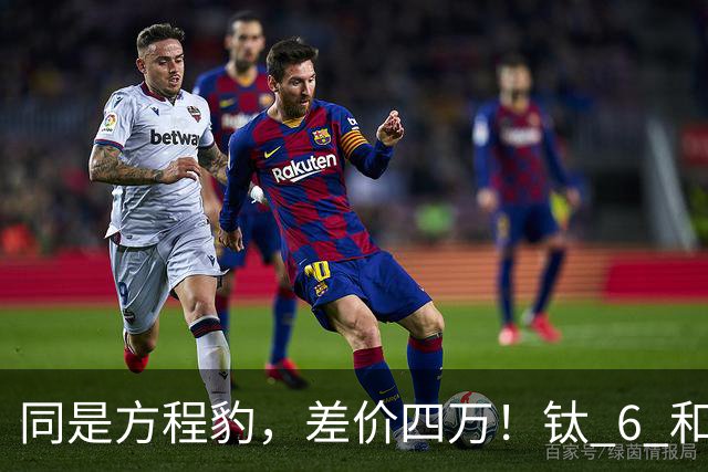 同是方程豹，差价四万！钛 6 和钛 7，到底贵在哪？