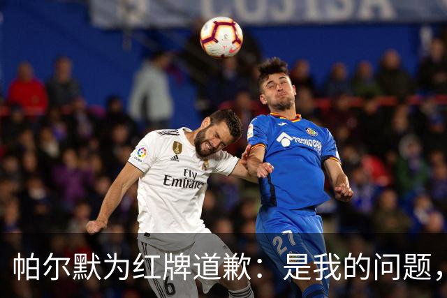 帕尔默为红牌道歉：是我的问题，会吸取教训