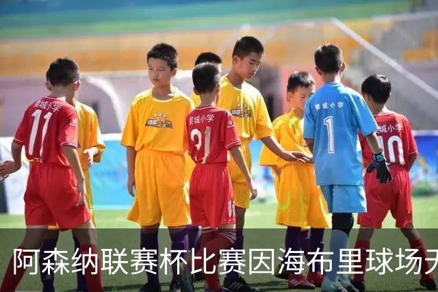 阿森纳联赛杯比赛因海布里球场无人机干扰而暂停​​​，现已恢复